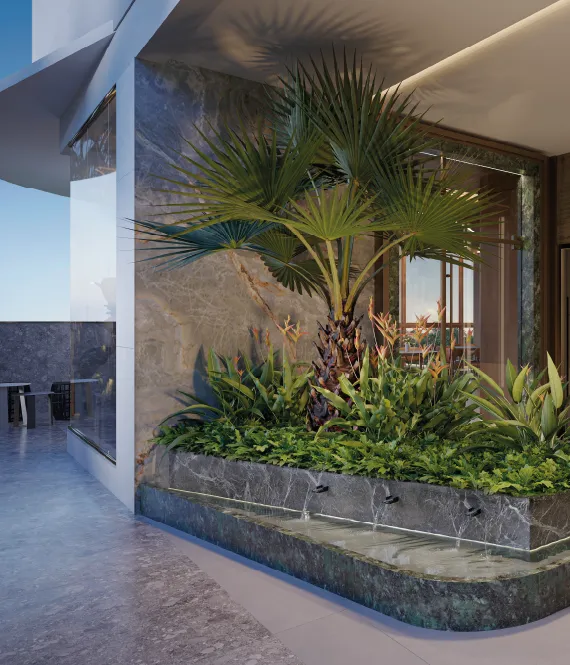 Terre _ Hall Festas 1