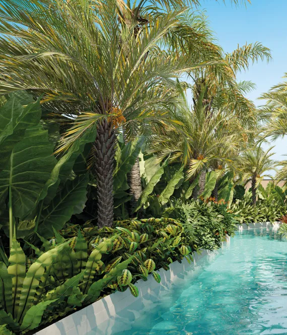 Terre _ Piscina Sauna 1